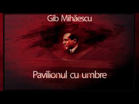Pavilionul cu umbre (1972) - Gib Mihaescu #teatruradiofonic #teatruaudio #teatruonline #teatruvechi