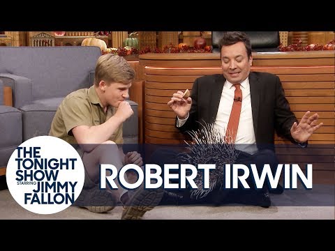Robert Irwin's Baby Porcupine Finds a Home on Jimmy's Lap