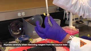 Quick Tips - Preparing NEBNext Ultra II FS DNA Reaction Buffer and Enzyme Mix Master Mix