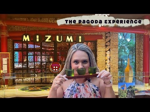 Mizumi at The Wynn (Restaurant Review, Las Vegas)...