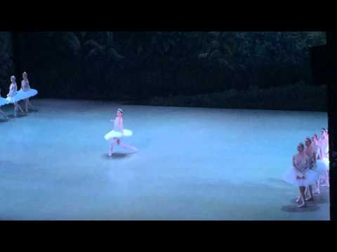 Bayadère 10 Opéra de Paris 18 décembre 2015