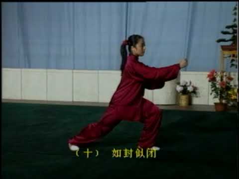 42 Yang Tai Chi   Li DeYin   Mandarin 1 of 2