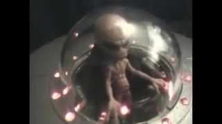 Alpha Centauri U.F.O.'S With "COLOR CHANGE LEDS" ...And Weapons!