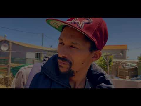 Jayden en sy stiefbroer Pt3 | Afrikaans comedy short film