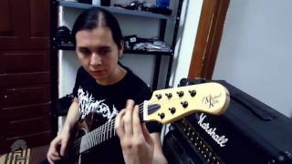 Video thumbnail for Michael Kelly 507 - 7 String Demo corto by Pepis Music
