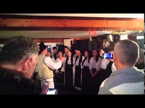 COLINDATORI LA PENSIUNEA OVIDIU VARTOP - ARIESENI