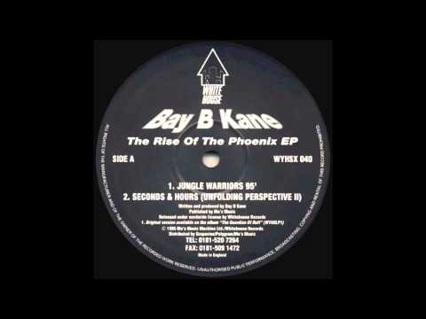 Bay B Kane - Seconds & Hours (Unfolding Perspective II)