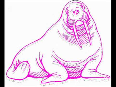 I am the Walrus - The thurston lava tube.wmv