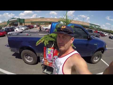 bass n bonsai shopping spree cheap walmart nursery pre trees for beginners