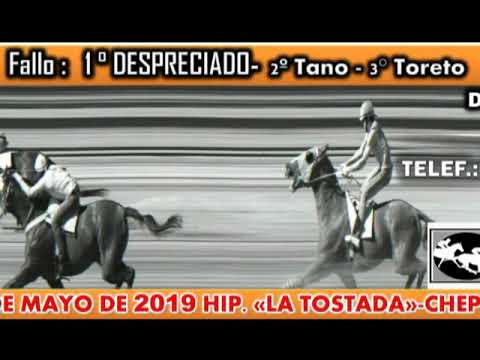 DESPRECIADO 4 05 2019 HIP  LA TOSTADA VIDEO DE CHEPES TURF