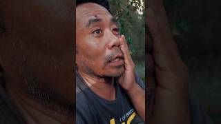 Download lagu Amaq sae - funny video bone meets bone 😭 #comedy #funny mp3