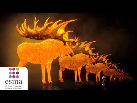 Stranded - ESMA 2020