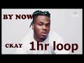 Ckay- By Now 1 Hour Loop On NoireTV