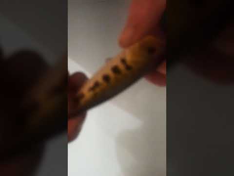 Poppervergleich Wish gegen Berkley Teil 1