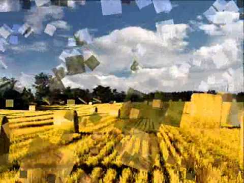 Sanja Poldruhi i Boris Magoc- Ja tebe nje rada