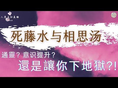 未知的真相15/死藤水＆相思汤/ 絕對不要碰! /讓你悔恨終生的通靈藥/地獄之景 .美好幻像.都是假的