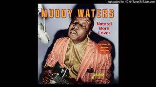 Muddy Waters - Recipe For Love