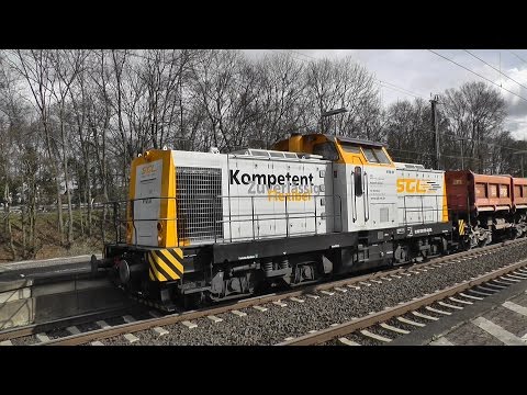 Dieselpower in Mainz-Bischofsheim mit V 90, Maxima und V 100 Ost mit Makro