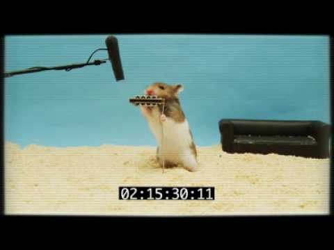 Rodney's Clever Hamster Audition
