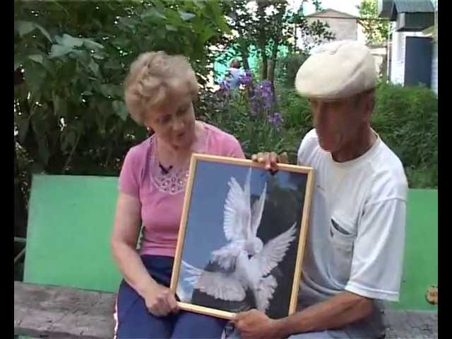 Любовь и голуби. 