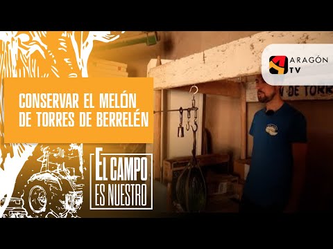 ¿Cómo se conserva el melón de Torres de Berrellén?