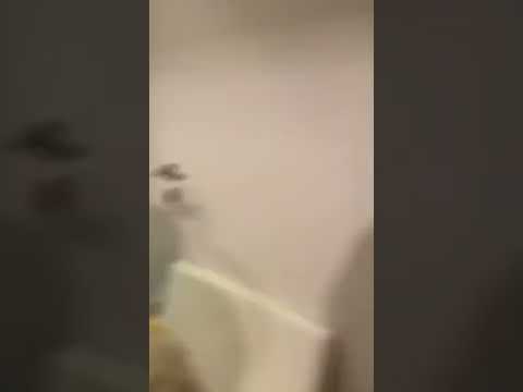 Kendrick Lamar Listening to Jay Z’s verse on Neck and Wrist by Pusha T