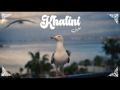 Flenn & Niro, DAK - Khalini (Remix) H'M X Beat7oven