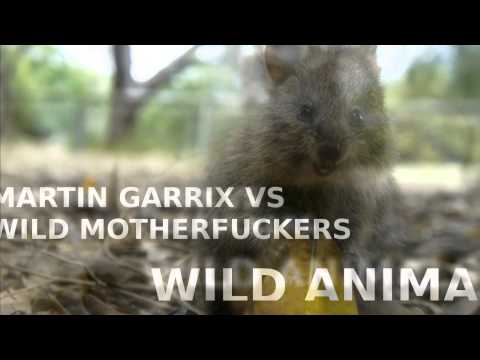 Martin Garrix vs Wild Motherfuckers - Wild Animals (Linee mashup)