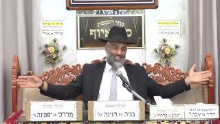 הרב רפאל אלבז | מעלתו של חודש כסלו | בית הכנסת מוסאיוף (בית הכנסת מוסאיוף) - התמונה מוצגת ישירות מתוך אתר האינטרנט יוטיוב. זכויות היוצרים בתמונה שייכות ליוצרה. קישור קרדיט למקור התוכן נמצא בתוך דף הסרטון