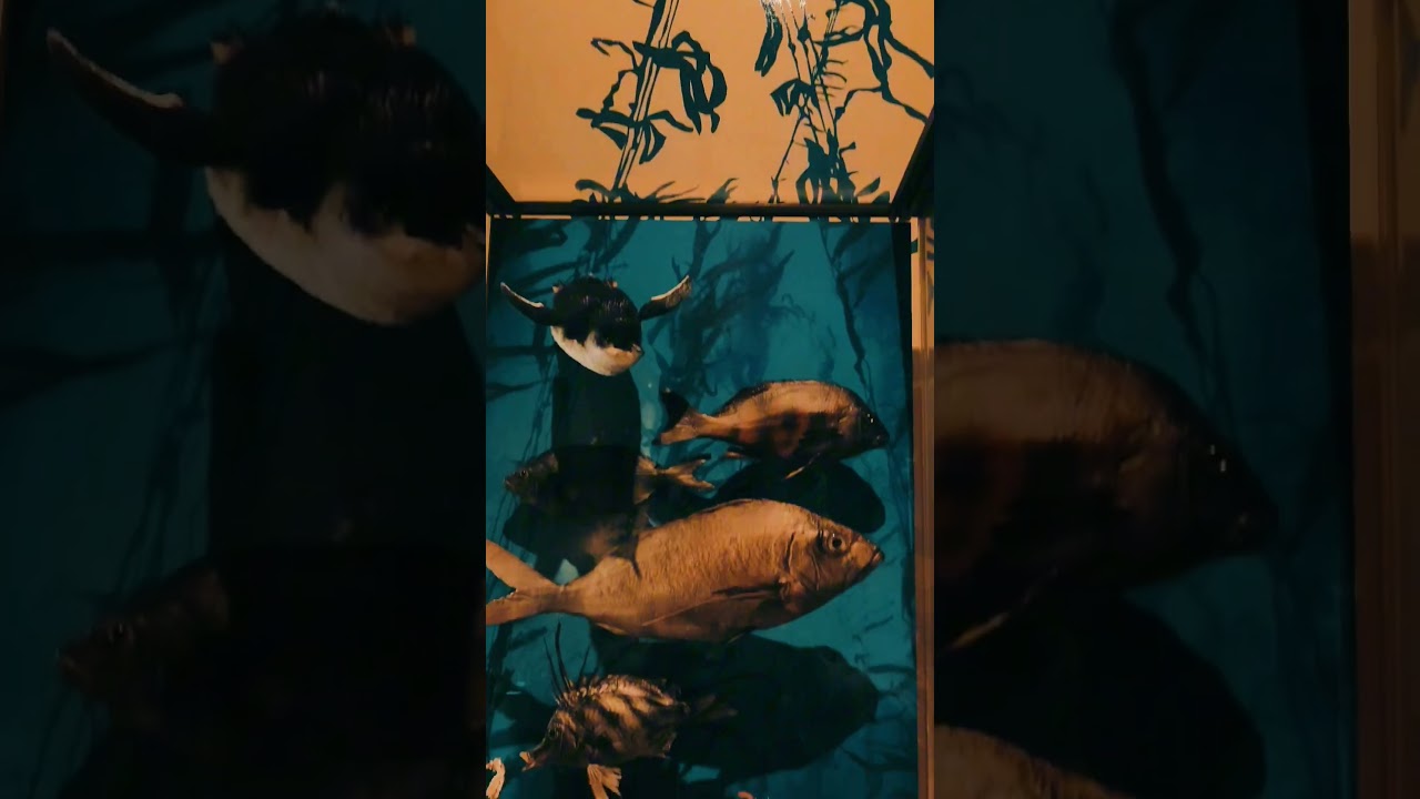 YouTube Short thumbnail