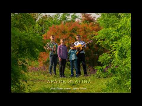 Fratii Bragari - Apă Cristalină (Audio)