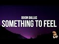Dixon Dallas - Something to Feel (Lyrics)
