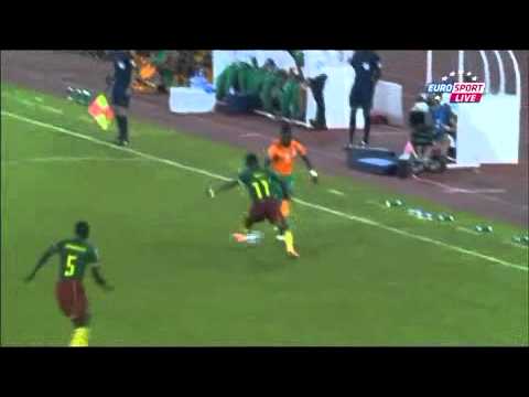 CAN 2015 : Côte d'Ivoire 1-0 Cameroun but Fantastic Max Alain Gradel