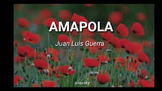 Amapola | Juan Luis Guerra | Letra