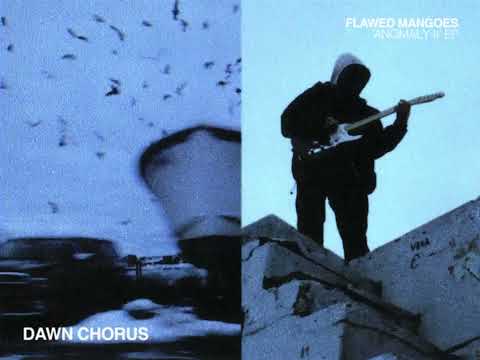 Video thumbnail for Dawn Chorus