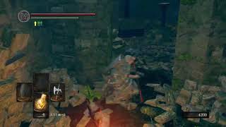 【0319】バトラに影響されダークソウルをする男