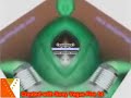 Klaskyklaskyklaskyklasky Gummy Bear In G Major 10 Color Correctior Secondary Version