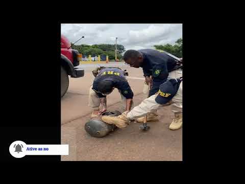Polícia localiza drogas em caminhão durante fiscalização