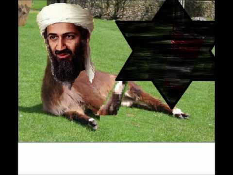 Dynamite - Taio Cruz Ft. Osama Osllama bin laden