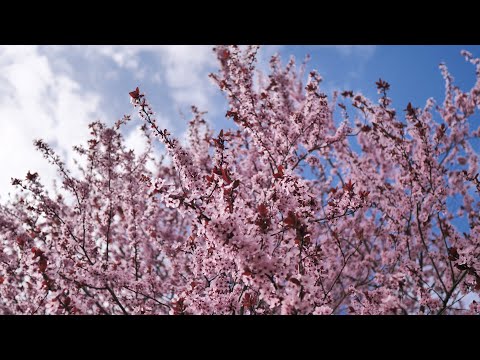 Spot wiosenny gminy Praszka! 2020