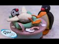 Pinga Is Born Pingu Official Channel Cartoons For Kids