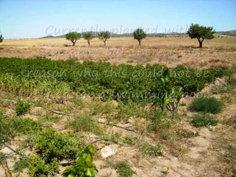 A country house in Spain for less than 20,000 euros? Unbelievable but true!