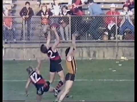 Marks of the Round, Rd 6 1986. VFL Football.