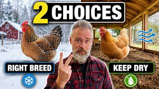 2 Choices That Prevent Most Chicken Problems