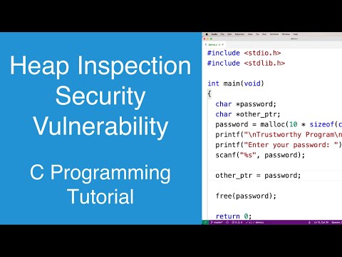 Heap Inspection Security Vulnerability | C Programming Tutorial
