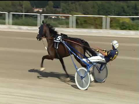 Trotto 21/09/2019 - 3ª corsa