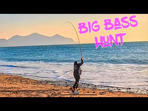 Fishing for big bass on Dinas Dinlle beach , uk sea fishing, uk beach fishing
