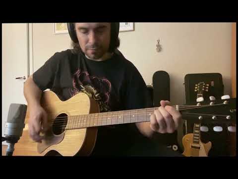 APC Instruments EA200 KOA acoustic guitar - Neumann TLM 103 - BAE 1073MP