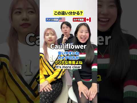 【違い分かる？】アメリカ英語🇺🇸 VSカナダ英語🇨🇦