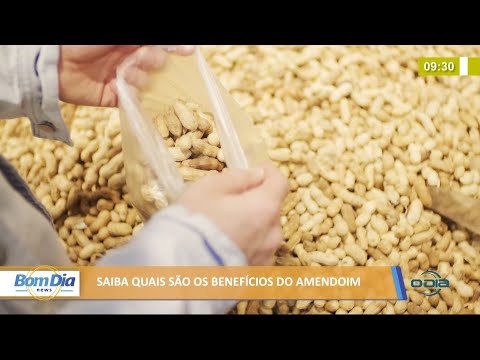 Saiba quais são os benefícios do amendoim 05 07 2021